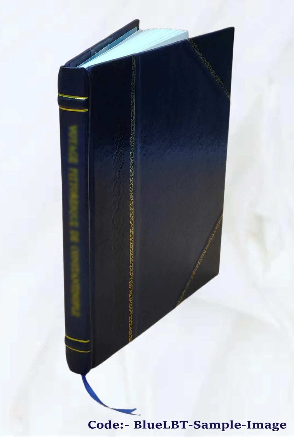 Vrbis Romae topographia. Nvper ab ipso avctore nonnvllis erroribvs svblatis emendata. Addita etiam interpretatione Nominum, quae unica Litera, uel Syllaba in antiquis titulis scrip